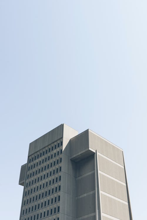 Government